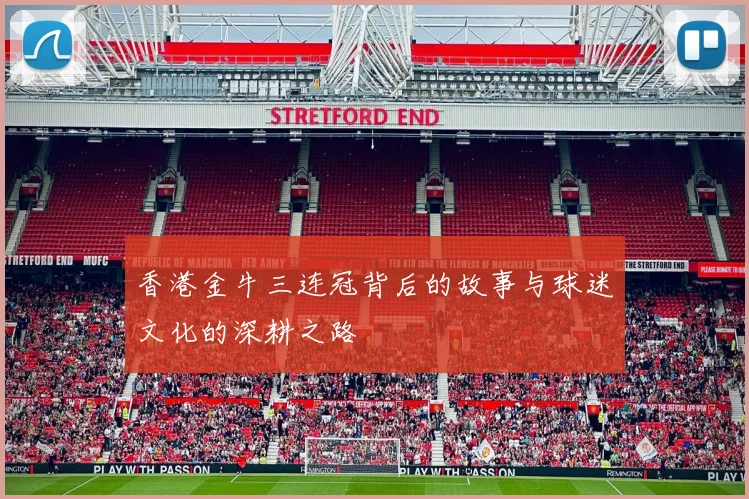 香港金牛三连冠背后的故事与球迷文化的深耕之路